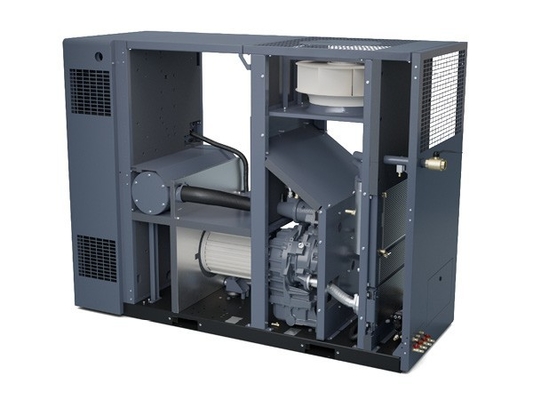 পণ্য নিরাপত্তা এবং নির্ভরযোগ্যতার জন্য Atlas ZR37-55VSD তেল মুক্ত স্ক্রু এয়ার কম্প্রেসার